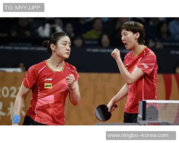 南京排球队战术表现深度解析与大满贯点评 南京排球队战术表现深度解析与大满贯点评