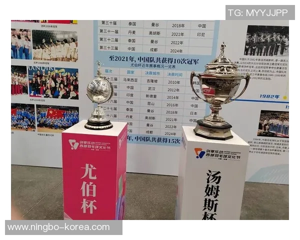 南京羽毛球队杯赛征程回顾与突破成就的深度剖析