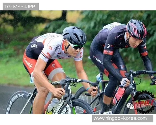 国际邀请赛特别报道：LNG战队如何在竞争中实现突破与辉煌成就