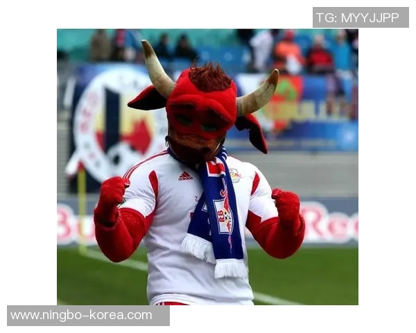 杭州极限运动队状态引发热议专家与爱好者各执己见