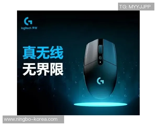 聚焦CSGO：RNG战队如何在竞技场中展现强大实力与团队合作