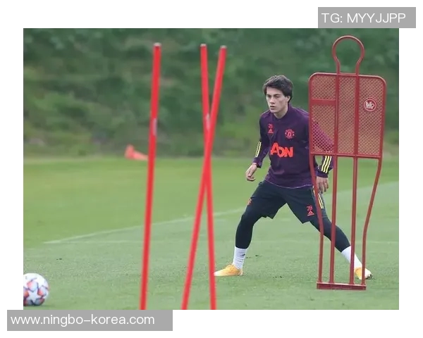 努涅斯的崛起与挑战:解析这位新星在足球世界中的影响力与未来潜力 努涅斯的崛起与挑战:解析这位新星在足球世界中的影响力与未来潜力