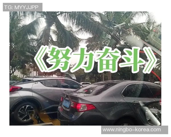 史鸿飞的成长之路：从平凡到卓越的奋斗故事与人生启示