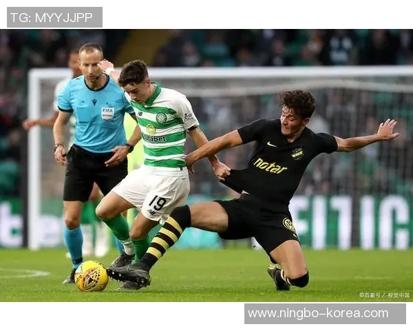 天狼星与法尔肯堡比赛前瞻分析及胜负预测全解析