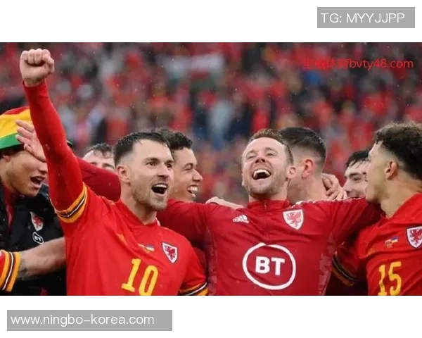 威尔士主场迎战芬兰球队期待展现实力与激情的较量