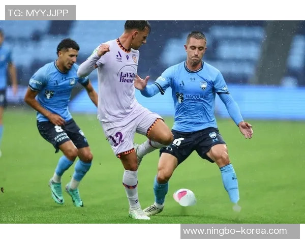 帕斯光荣与曼联的对决：一场足球盛宴的精彩回顾与分析