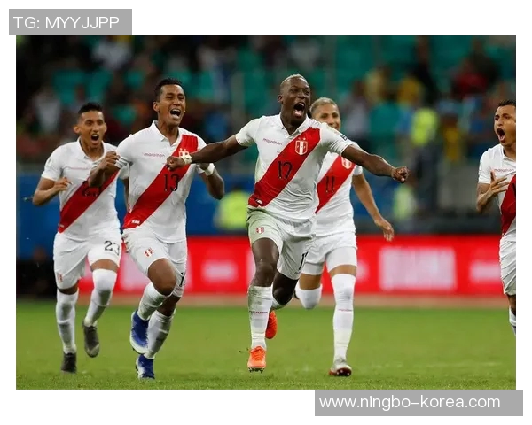 智利与秘鲁比赛购票指南及注意事项详解