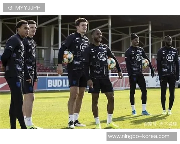 欧预赛黑山对丹麦比赛分析及胜负预测详解