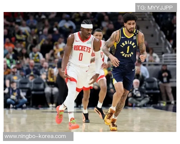 火箭队与猛龙队精彩对决美国录像回放全程分析与精彩瞬间分享