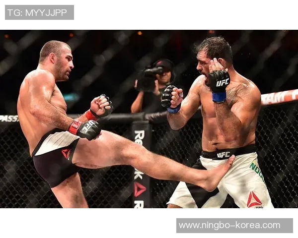 米尔与诺盖拉的巅峰对决谁将成为MMA历史的新传奇