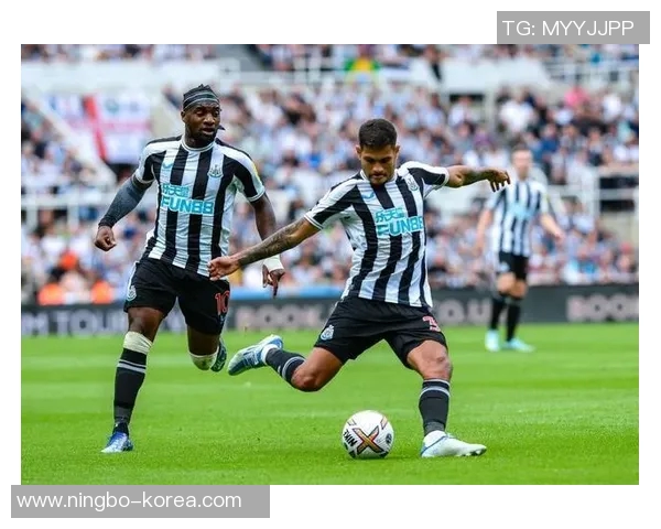 纽卡斯尔对阵布莱顿直播信息及比赛前瞻分析尽在此处