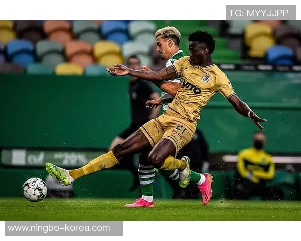 葡萄牙与新西兰历史交锋回顾及未来对决展望