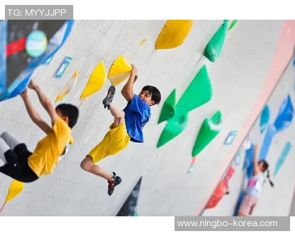 重庆攀岩队如何通过节奏革新提升竞技水平与团队协作能力