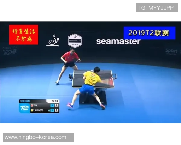 重庆羽毛球队在挑战赛中的技术表现分析与点评