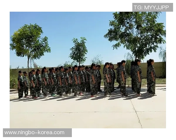 陈秀英的英雄联盟之路:从新手到职业选手的成长与挑战 陈秀英的英雄联盟之路:从新手到职业选手的成长与挑战