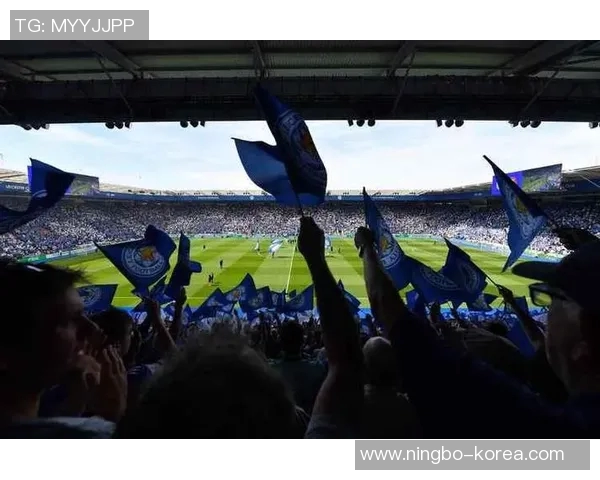 马德里竞技与莱斯特城精彩对决图集回顾与分析