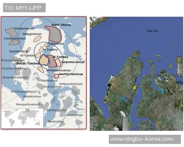 亚马尔地区的能源战略与全球市场的互动分析