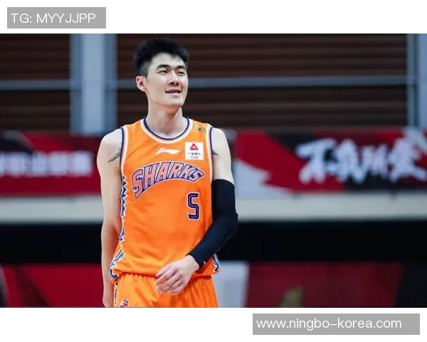 刘铮的成长之路：从篮球新星到职业生涯的辉煌历程与挑战