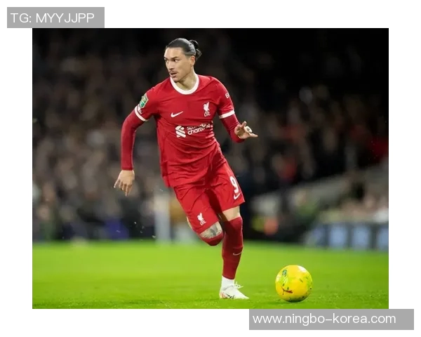 努涅斯在赛场上的崛起与挑战解析，如何成为足球界的新星