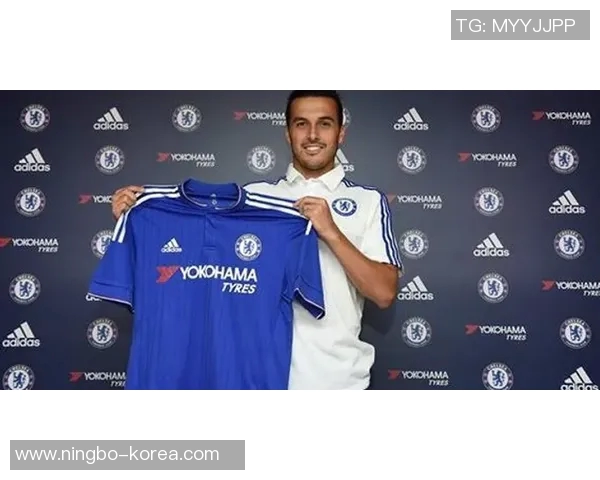 史鸿飞的奋斗历程与成就探索：从平凡到卓越的启示与思考